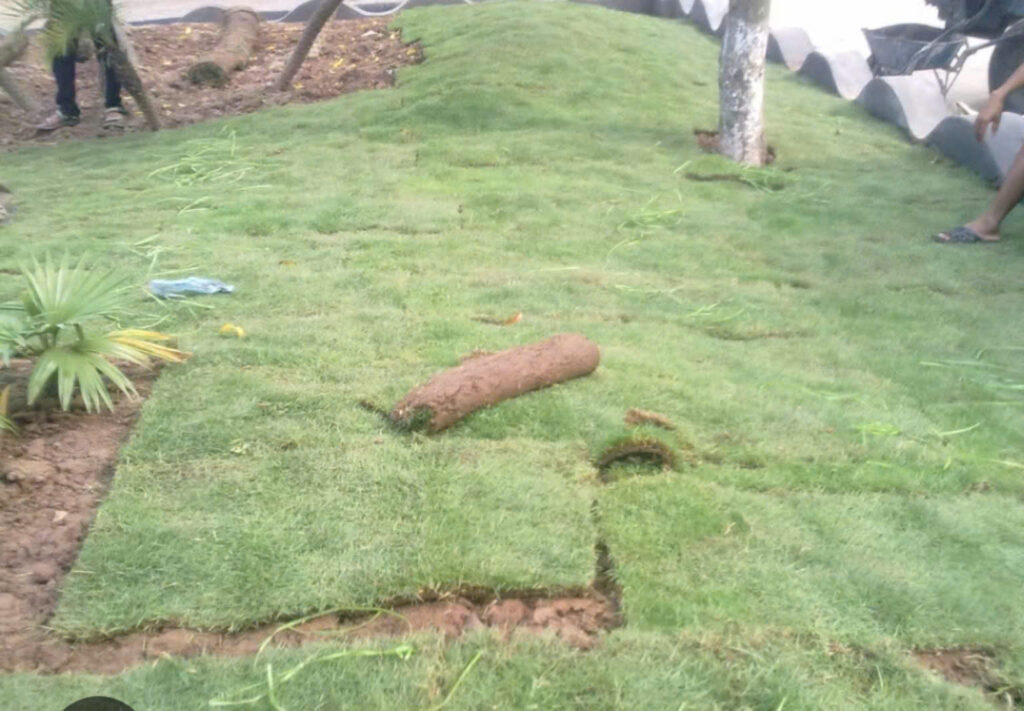 Z5871532592631 b3abfdd954a4ca2b9401cf5f79ba2b4a